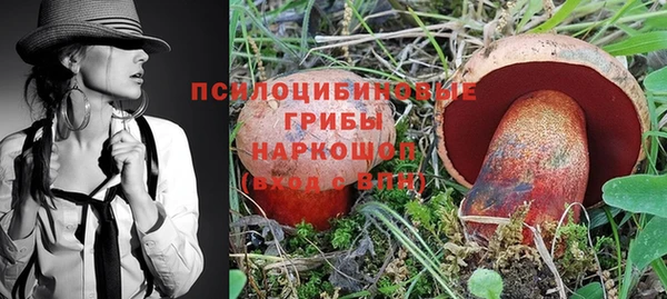 гашик Белоозёрский