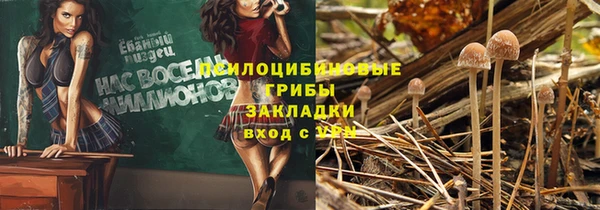 PSILOCYBIN Богородицк