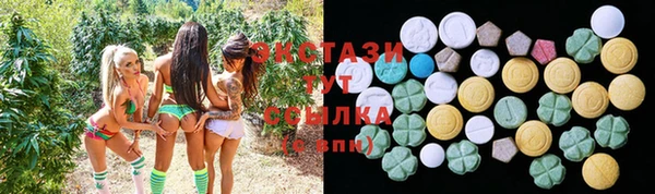 дмт Богданович