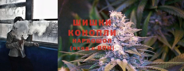 PSILOCYBIN Богородицк